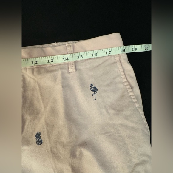 IZOD Saltwater Stretch Light Pink Flamingo/Pineapple Patterned Shorts. Size 34W - Picture 5 of 16